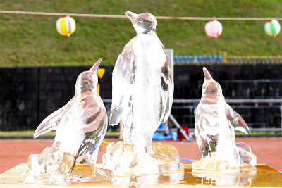 わいわい祭り2018 島田療育センター